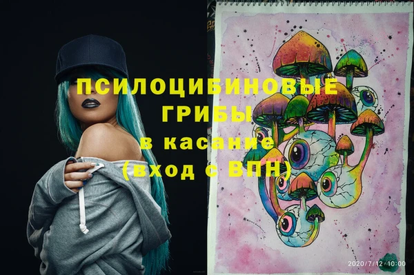 прущие крисы Дмитриев