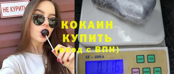 стаф Дмитров