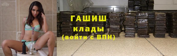 стаф Дмитров