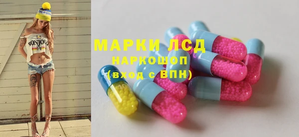 стаф Дмитров