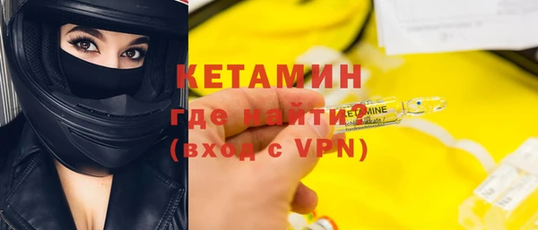 стаф Дмитров