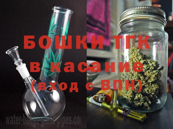 гашик Туринск