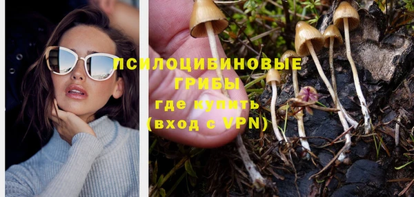 прущая мука Тында