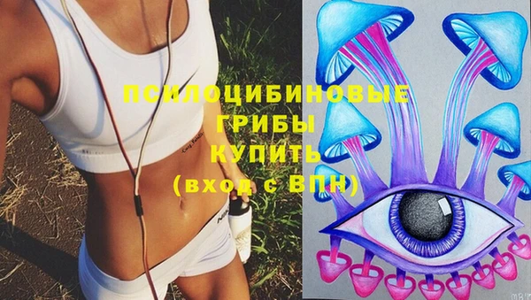 стаф Дмитров